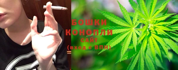 крисы Армянск