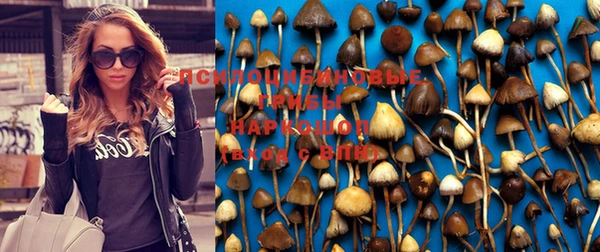 бутик Аркадак