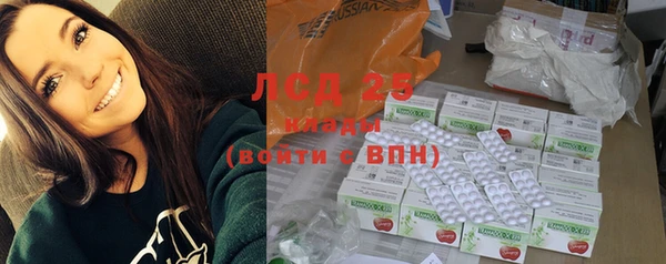 крисы Армянск