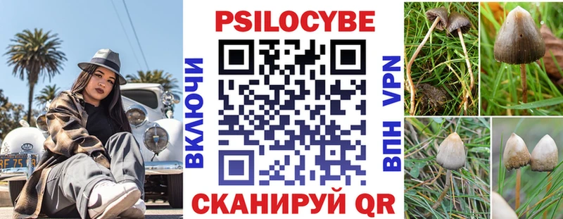 где можно купить наркотик  Мытищи  Галлюциногенные грибы Psilocybe 