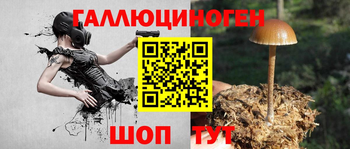 Псилоцибиновые грибы мухоморы  Галлюциногенные грибы ЛСД  Мытищи  где купить наркотик  Вход с VPN 
